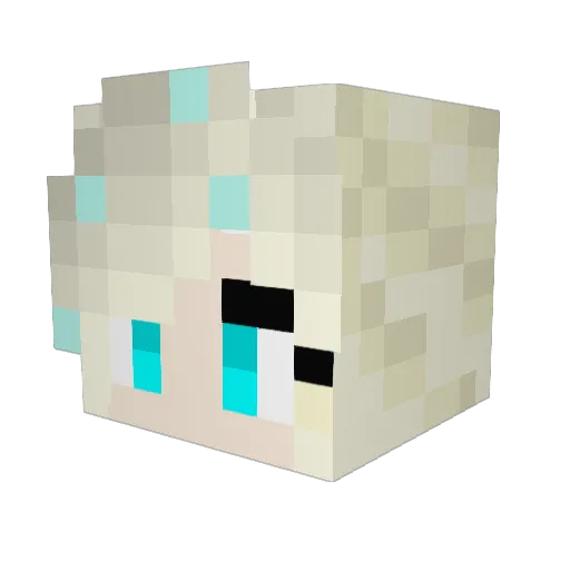 The12NV Minecraft avatar head, 3D render