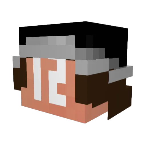 The12er Minecraft avatar head, 3D render