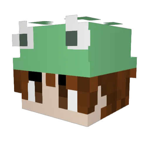 The1Wh0Asked1 Minecraft avatar head, 3D render