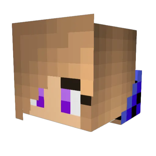 The2012Cats Minecraft avatar head, 3D render