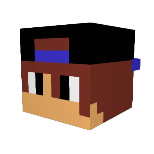 The27 Minecraft avatar head, 3D render