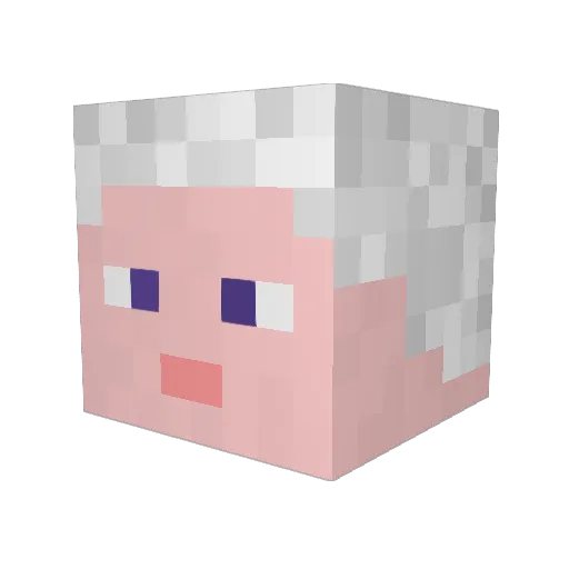 The3rdDoctor Minecraft avatar head, 3D render