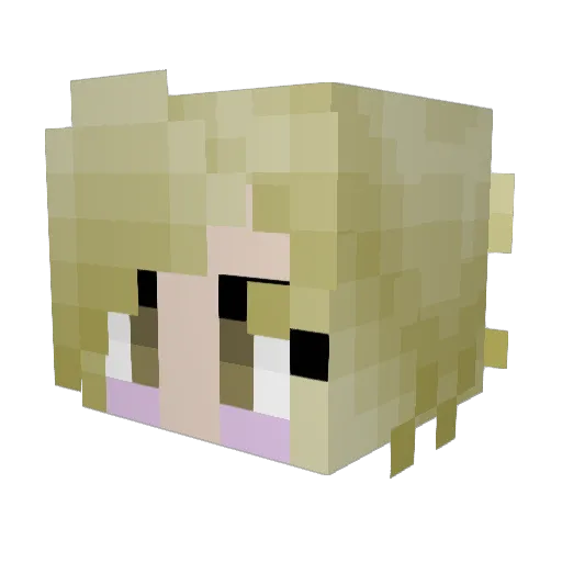 The5thBreaker Minecraft avatar head, 3D render