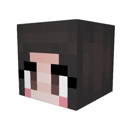 The99thSecret Minecraft avatar head, 3D render