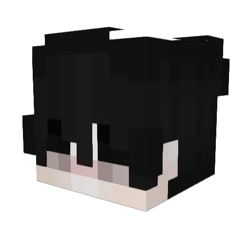 TheAce1278 Minecraft avatar head, 3D render