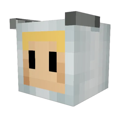 TheAce5530 Minecraft avatar head, 3D render