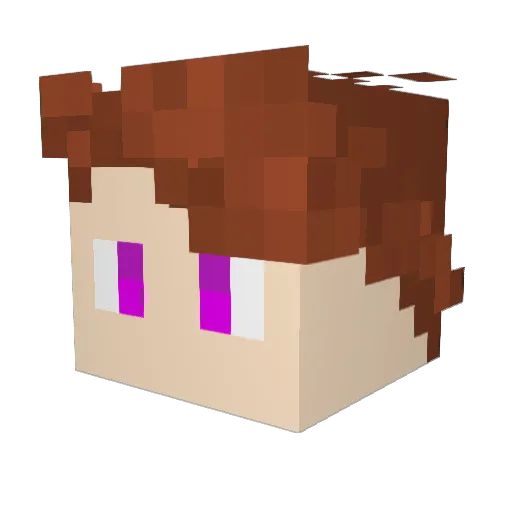 TheAesir Minecraft avatar head, 3D render