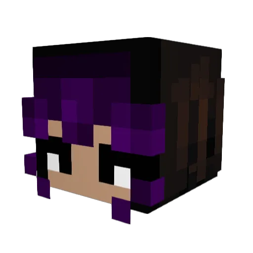TheAlexish Minecraft avatar head, 3D render