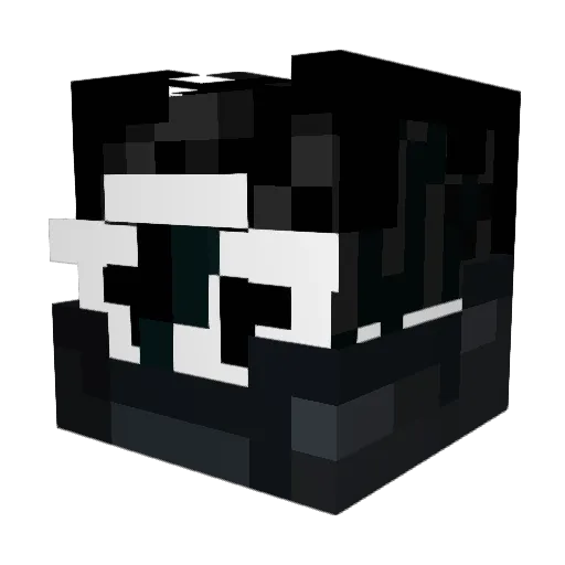 TheAlignedStars Minecraft avatar head, 3D render