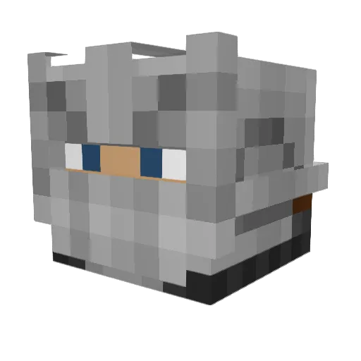 TheAllMightyRed Minecraft avatar head, 3D render