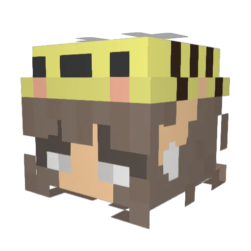 TheAlliCatt Minecraft avatar head, 3D render