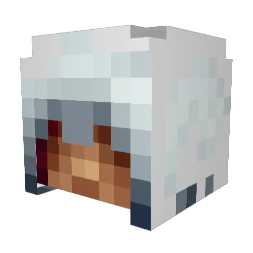 TheAlmightySp00k Minecraft avatar head, 3D render