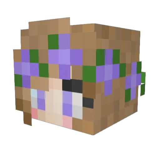 TheAlonzi Minecraft avatar head, 3D render