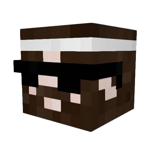 TheAlx2468_ Minecraft avatar head, 3D render