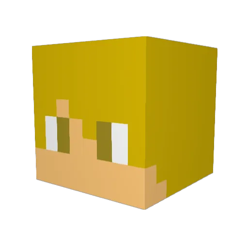 TheAmazingFlash Minecraft avatar head, 3D render
