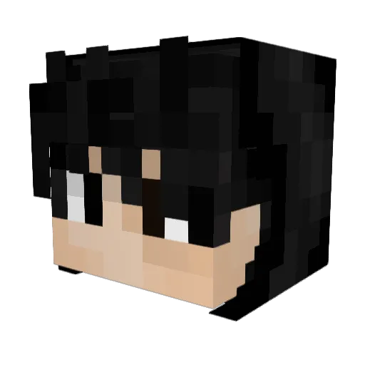 TheAmericanVirus Minecraft avatar head, 3D render
