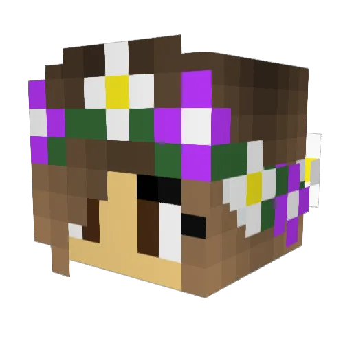 TheAmureGame Minecraft avatar head, 3D render