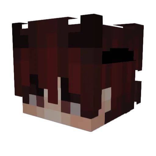 TheAnderson_YT Minecraft avatar head, 3D render