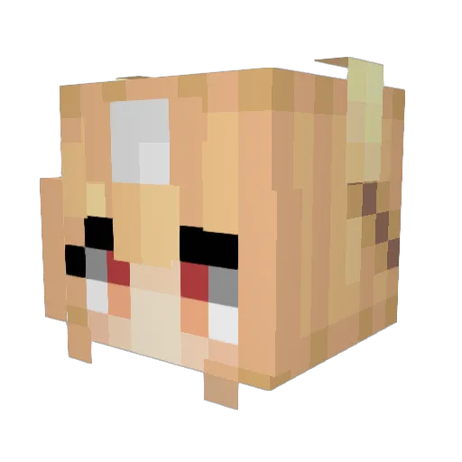 TheAnga27 Minecraft avatar head, 3D render