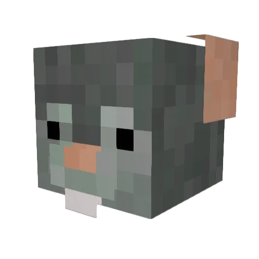 TheAngryReich Minecraft avatar head, 3D render