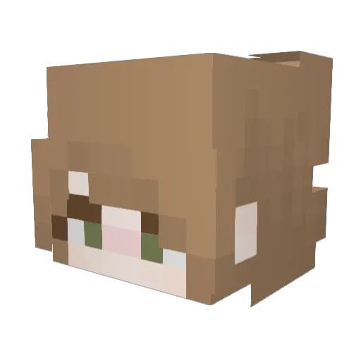 TheAnnWolf14 Minecraft avatar head, 3D render