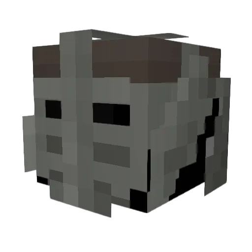 TheAnonFox Minecraft avatar head, 3D render