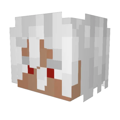 TheAnpa Minecraft avatar head, 3D render