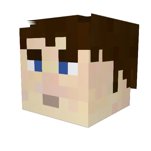 TheAntiCam Minecraft avatar head, 3D render