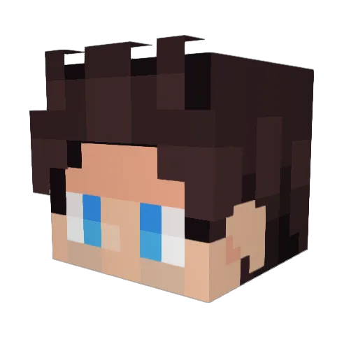 TheAnxiousWombat Minecraft avatar head, 3D render