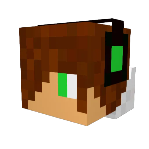 TheAnythinger Minecraft avatar head, 3D render
