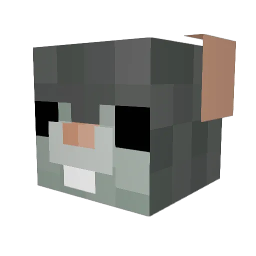 TheAprilF00l Minecraft avatar head, 3D render