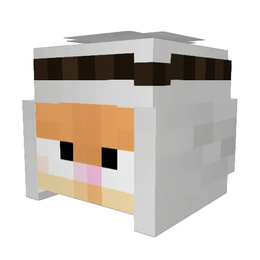 TheArabGarfield Minecraft avatar head, 3D render
