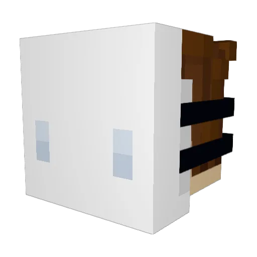 TheArchitectMC Minecraft avatar head, 3D render