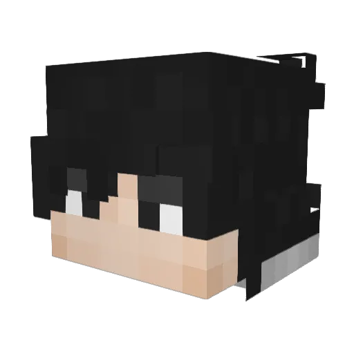 TheArisu3650 Minecraft avatar head, 3D render
