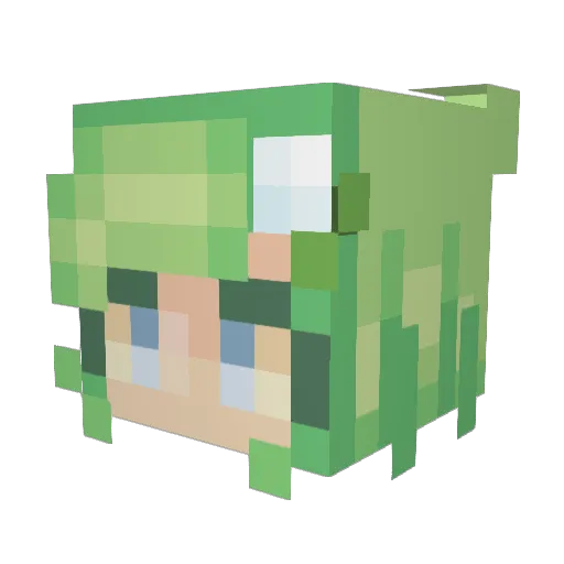 TheArk05 Minecraft avatar head, 3D render