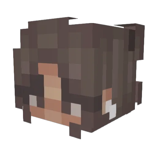 TheAsia Minecraft avatar head, 3D render