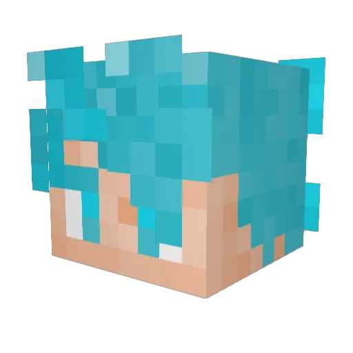 TheAsianBeanz Minecraft avatar head, 3D render