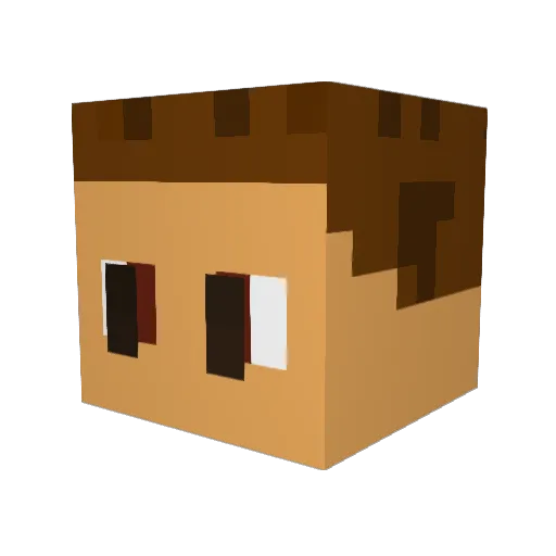 TheAsianFlash Minecraft avatar head, 3D render
