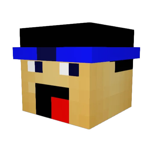 TheAsianNinja Minecraft avatar head, 3D render