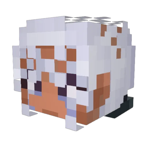 TheAssassin5914 Minecraft avatar head, 3D render