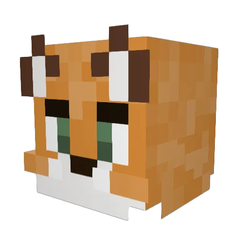 TheAssassin666 Minecraft avatar head, 3D render