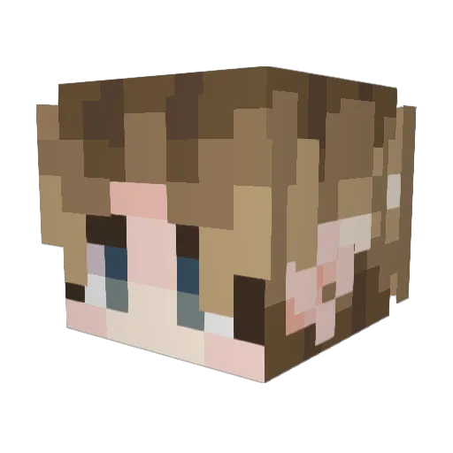 TheAtlasEnigma Minecraft avatar head, 3D render