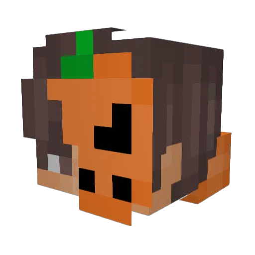 TheAussieBlake Minecraft avatar head, 3D render