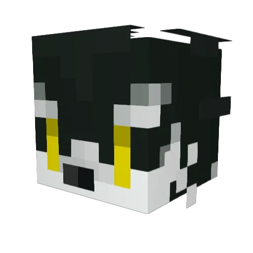 TheAussieMagpie Minecraft avatar head, 3D render