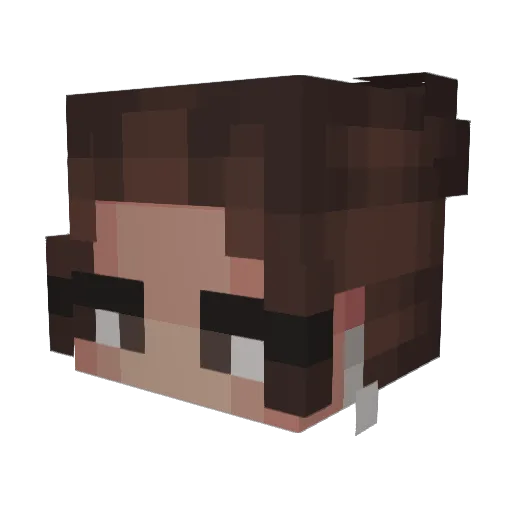 TheAvalonTech Minecraft avatar head, 3D render