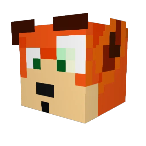 TheAvenger256 Minecraft avatar head, 3D render