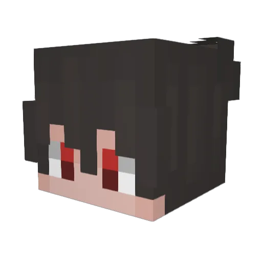 TheAverageWolf Minecraft avatar head, 3D render