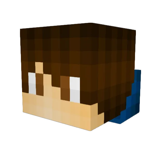 TheAwesomeNizer Minecraft avatar head, 3D render