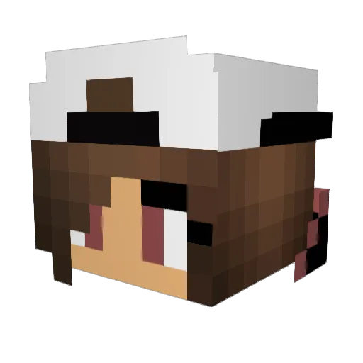 TheAwsomCheesBal Minecraft avatar head, 3D render