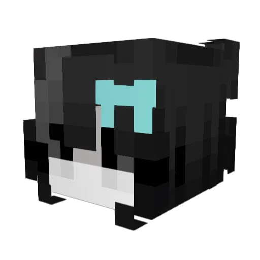 TheAxolotlQueen_ Minecraft avatar head, 3D render